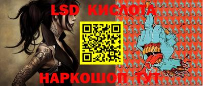 ешки Новодвинск
