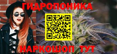бошки Новокубанск