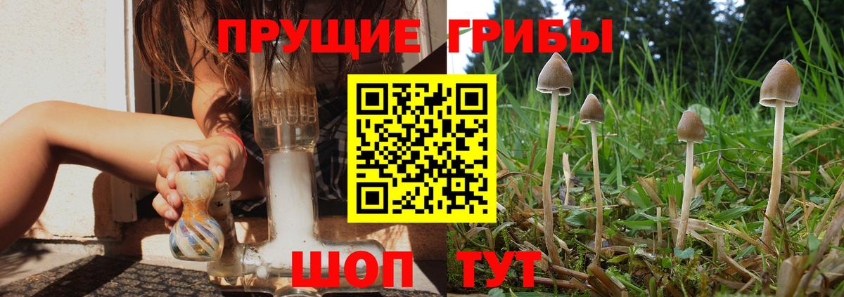 Псилоцибиновые грибы MAGIC MUSHROOMS  Вход с VPN  Санкт-Петербург 